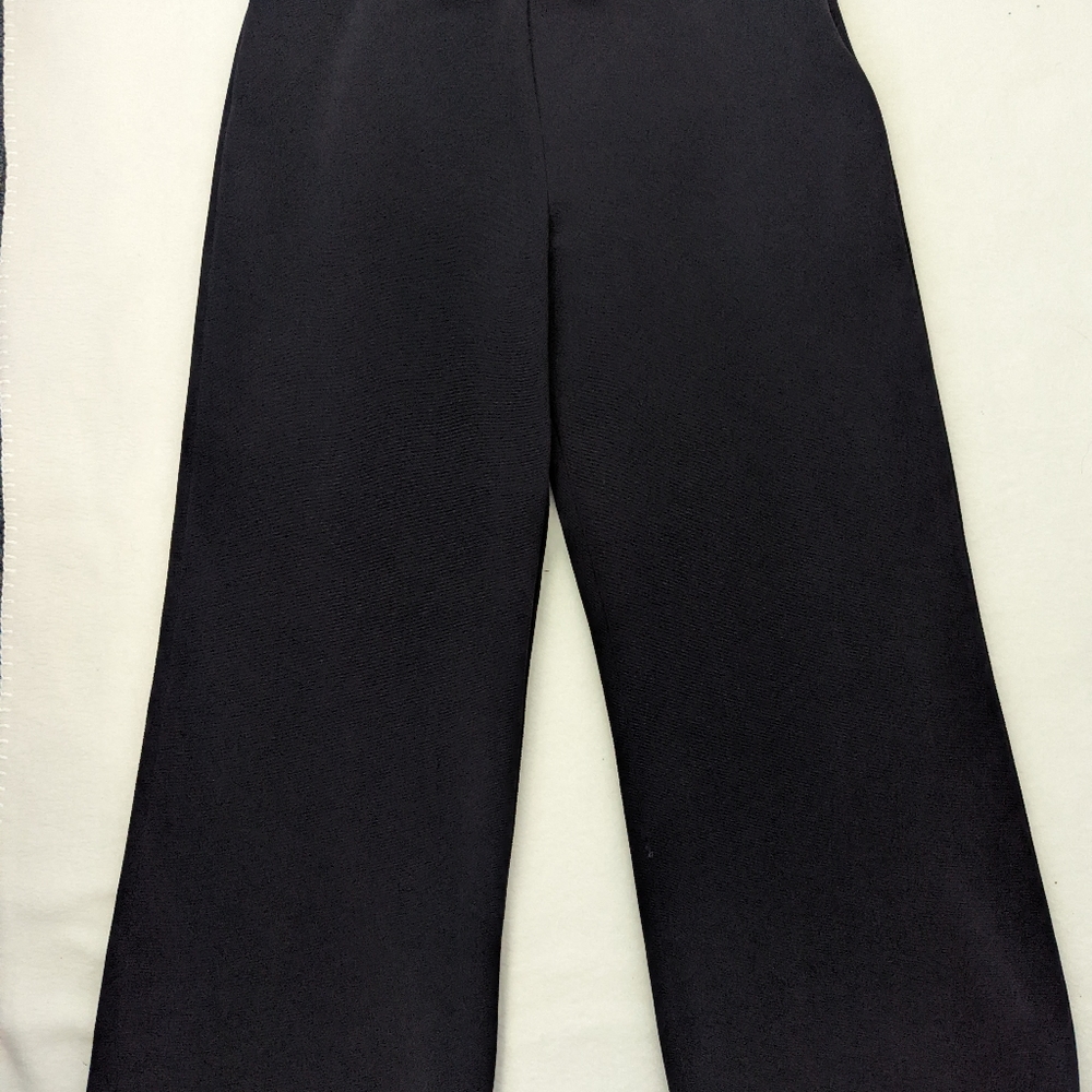 Dress pants